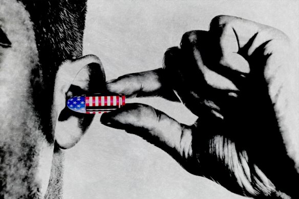 A Deafening Blow by Marija Ercegovac. 