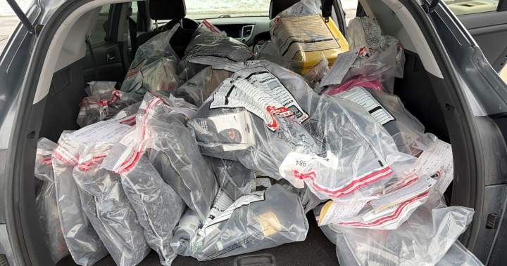 Nearly 200 charges laid in Mississauga break-and-enter investigation