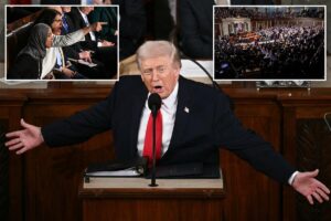 Trump blasts Democrats who refused to stand for protecting Americans over ‘illegal aliens’ at State of the Union: ‘You should be ashamed’