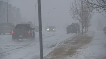 February snowstorm hits Saskatchewan after brief taste of spring