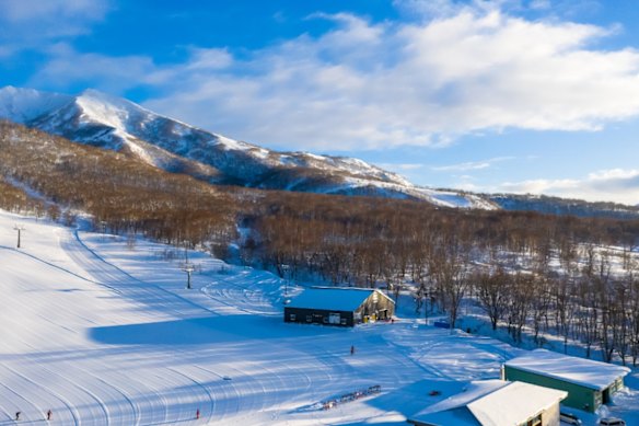 Niseko in Hokkaido. The young Australian man died while skiing with a group between two resorts in the area.