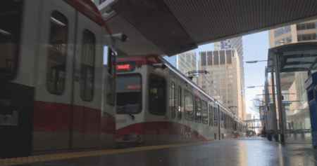 Calgary city council unanimously supports review of downtown free fare zone