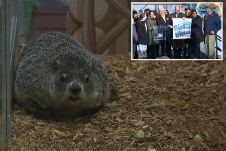Staten Island Chuck’s Groundhog Day 2026 prediction