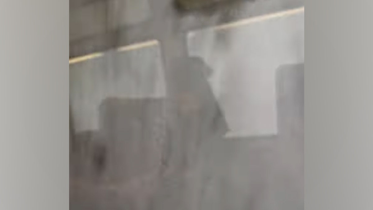 Woman filmed the avalanche hitting the train.