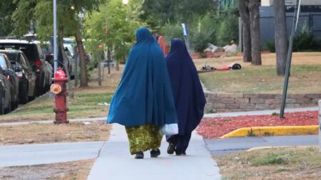 'It's hidden': Female genital mutilation and the secret shame of Minnesota's Somalis