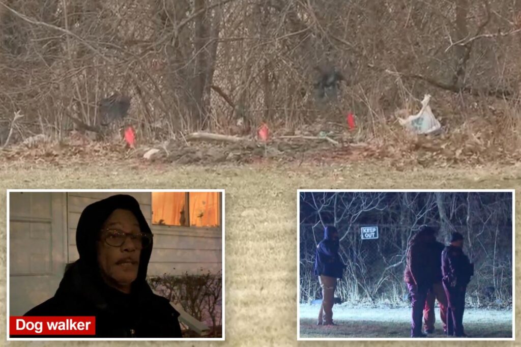 Bodies of 2 young girls found stuffed inside suitcases in park — after dog-walker spots severed head