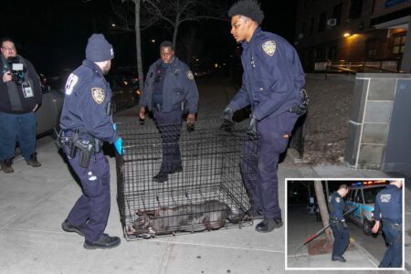 Cop shoots and kills pit bull mauling woman in NYC