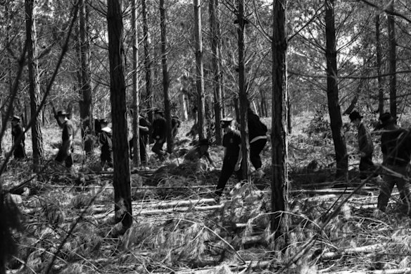 Police search Belanglo State Forest after the discovery of the remains of Joanne Walters in 1992.