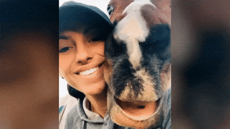 Injured racehorse Lina’s Choice returned to race sex months early before fall that killed jockey