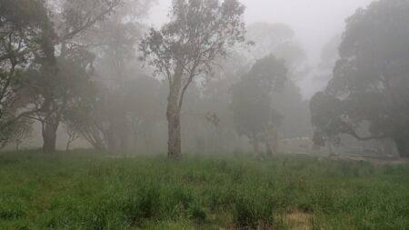 Man charged with murder after alleged campground axe attack near Thora