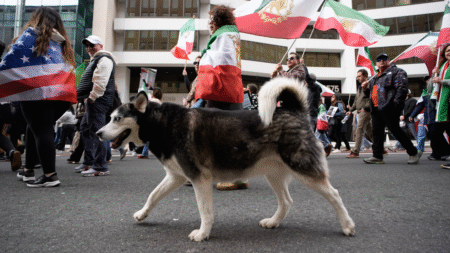 With dogs, dance and uncovered hair, Iranians defy 'unholy alliance' of socialists, radicals: ‘Hypocrites!’