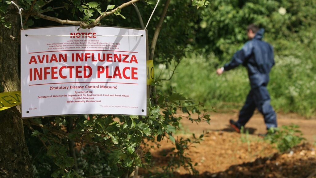 Highway shut down after waste truck carrying dead bird flu ducks crashes in northern Indiana