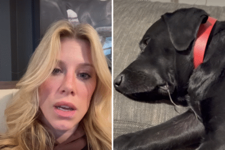 Woman Pays $500 for Pet Sitter—Returns to Horror Scene – Newsweek