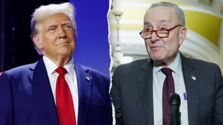 Schumer, Dems block DHS funding again as Trump intervenes to pay TSA agents