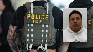 ICE arrests Latin Kings member after NYC sanctuary release despite assault charge on first responder