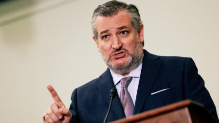 Republicans can fund ICE for an entire decade without a single Dem vote: Sen Cruz
