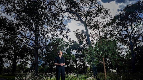 Victoria’s bushfire protocols are operating at peak performance, in part due to the recommendations of Susan Pascoe and others in the Black Saturday Royal Commission.