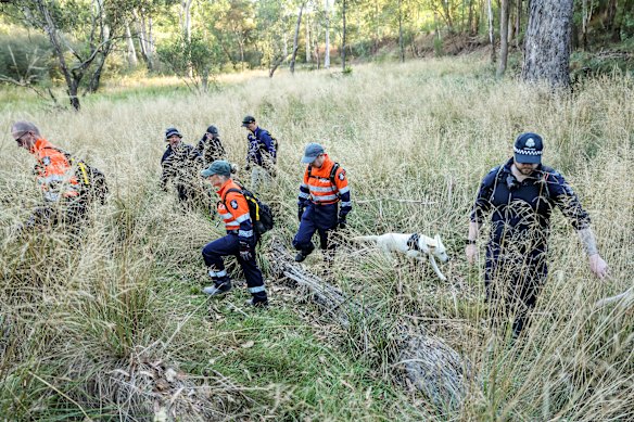 A huge amount of police resources have been dedicated to the search for Dezi Freeman. 