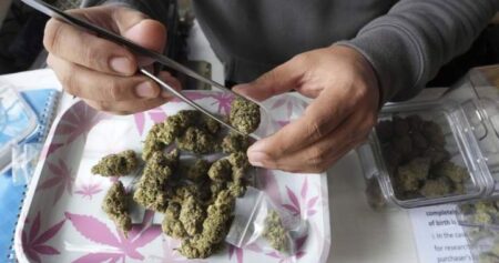 Case of Mi’kmaq man facing cannabis charges moves to constitutional challenge in N.S.