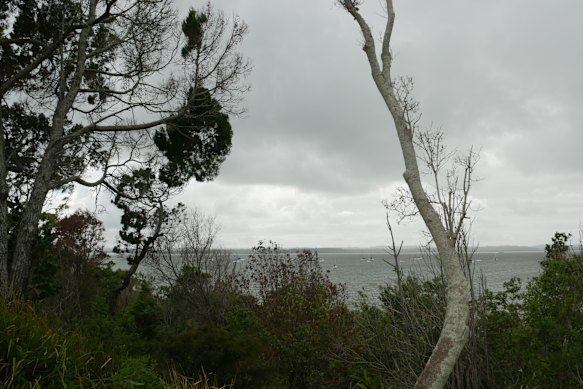 The council said they are aware of tree vandalism at this site.