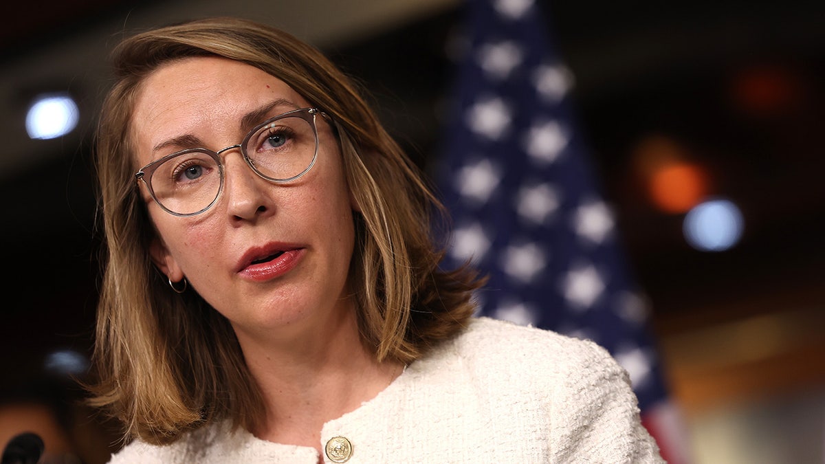 Dem Rep Hillary Scholten