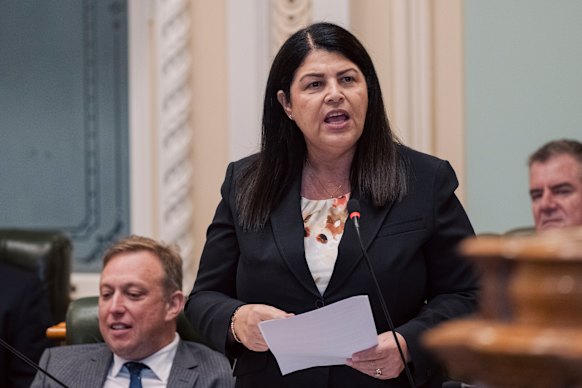 Former Labor minister Grace Grace, now a member of the opposition’s shadow cabinet, pictured in early 2024. Former ministers Mick de Brenni and Mark Bailey have also been singled out in inquiry evidence to date.