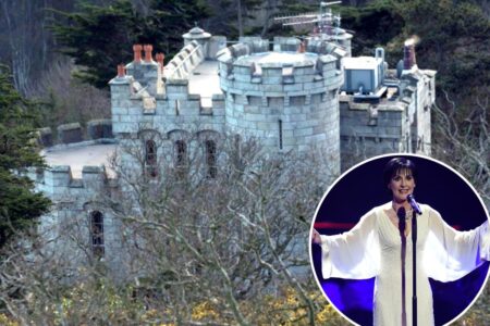 Singer Enya prefers a solitary life with her 12 cats in a Dublin Victorian-style castle: ‘Lives like a queen’