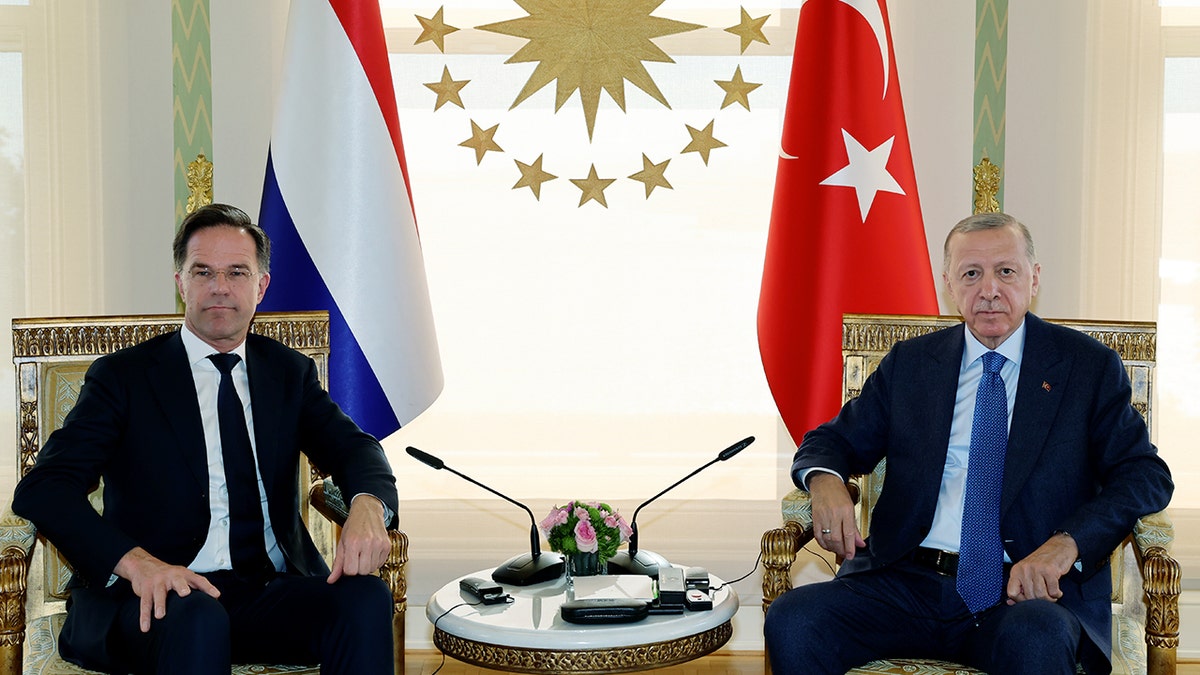Recep Tayyip Erdogan and Mark Rutte
