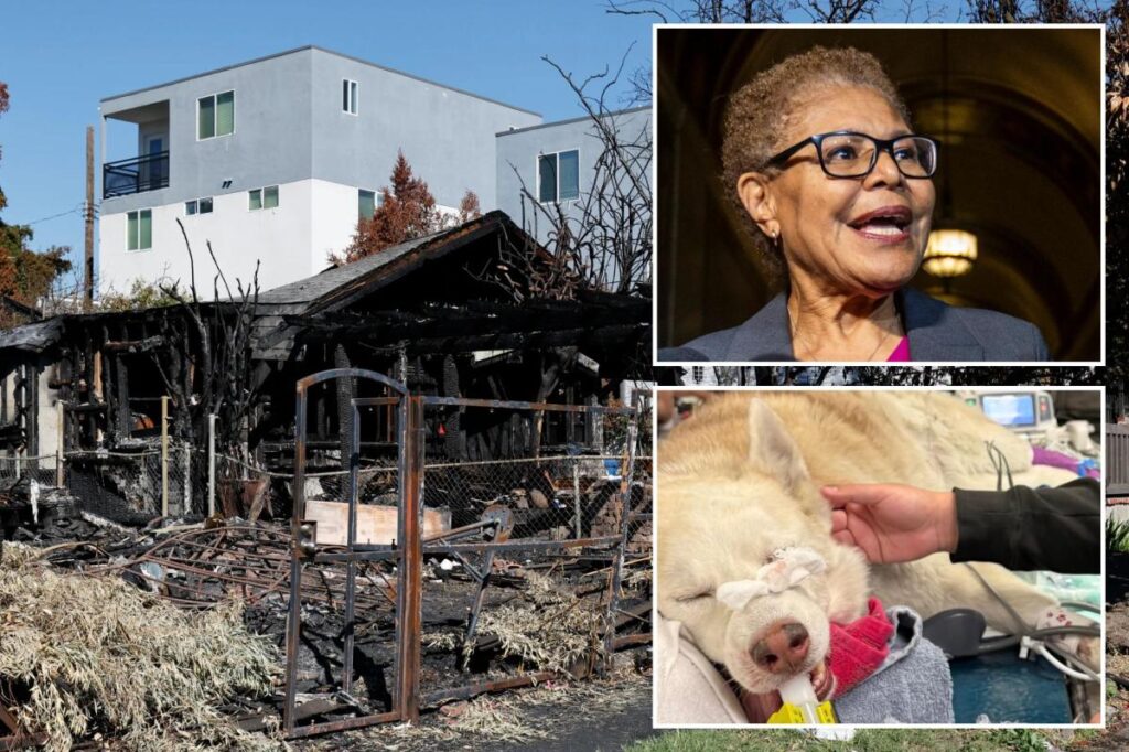 Family who lost everything to fire sparked by homeless squatters slams Karen Bass over tragedy
