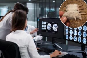 Frozen mouse brains revived from ‘cryosleep’ in a scientific first