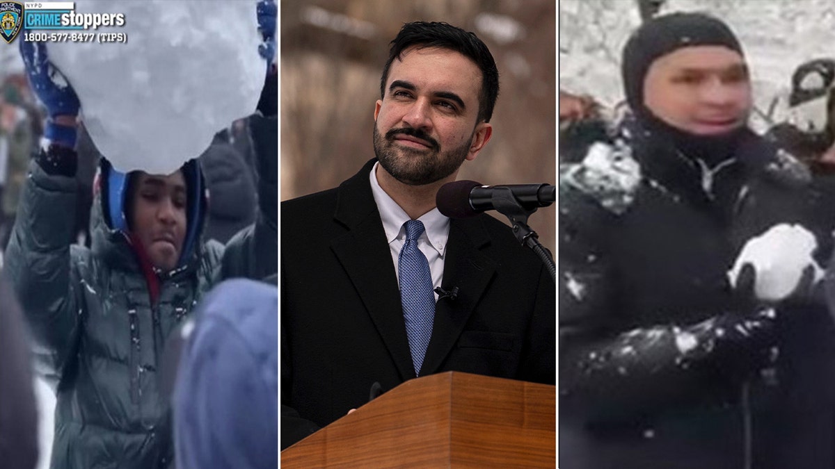 An image of Zohran Mamdani is flanked by images of snowball suspects