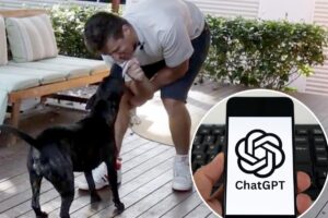Tech pro saves his dying dog by using ChatGPT to code a custom cancer vaccine