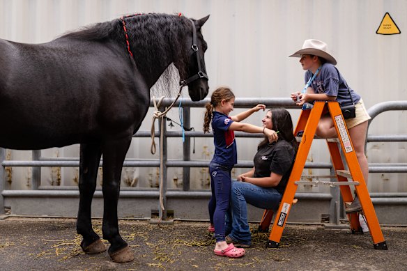 Up close with the animals at the show on Friday.