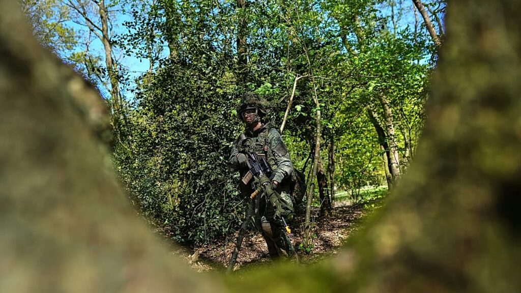 Royal recruits boost volunteers as Netherlands builds up reservists