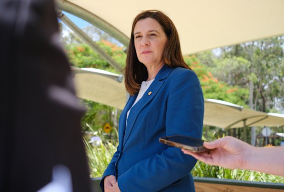 Queensland Attorney-General Deb Frecklington was highly critical of the original sentence.
