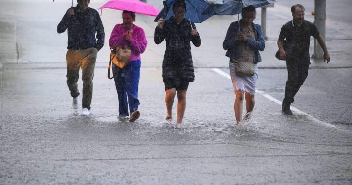 Parts of southern Ontario under rainfall warnings as storm tracks through area