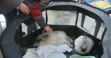 A look at Easter celebrations in Saskatoon