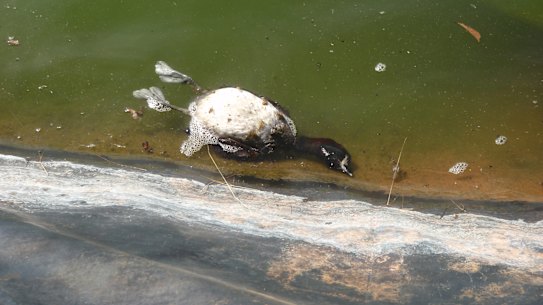Photo from Buru Energy’s fracking wells in the Kimberley.