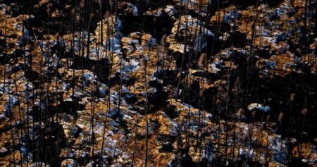 Canada’s wildfire season forecast is ’cause for concern,’ experts warn