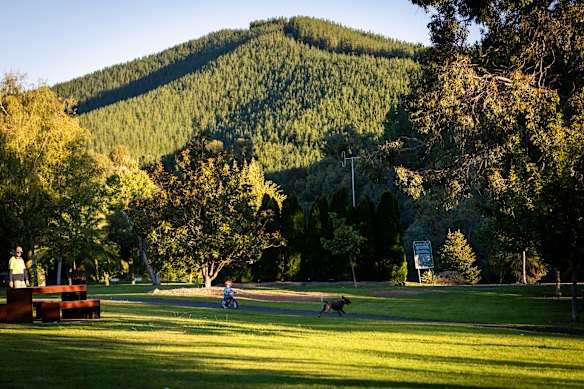 Porepunkah has again been the centre of national attention after the death of Dezi Freeman.