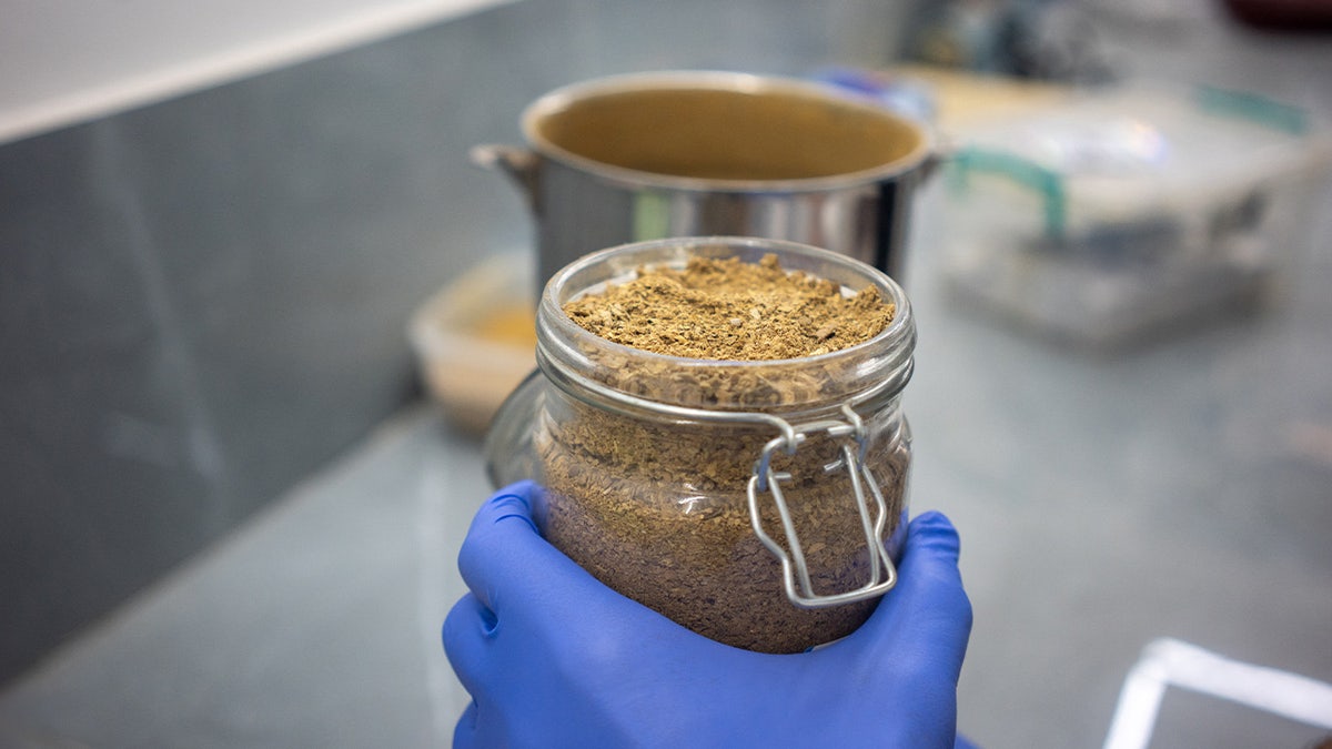 Iboga powder in a laboratory
