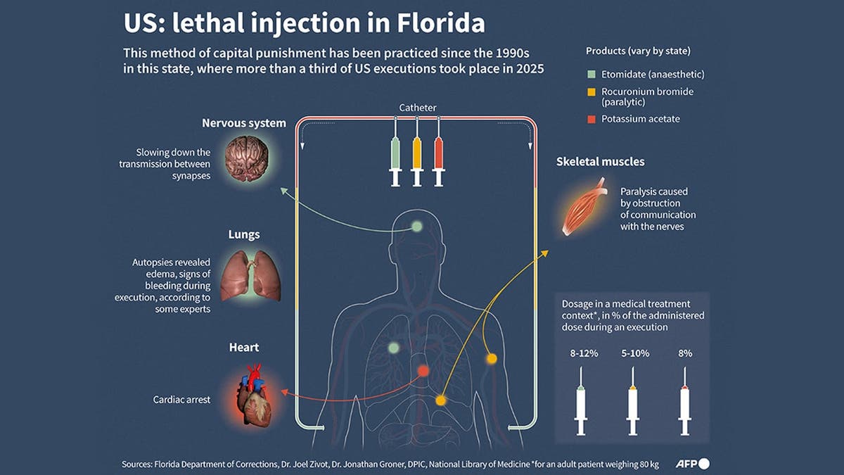 Infographic explaining death by lethal injection showing three colorful injections and the human anatomy, including nervous system, lungs, and heart.