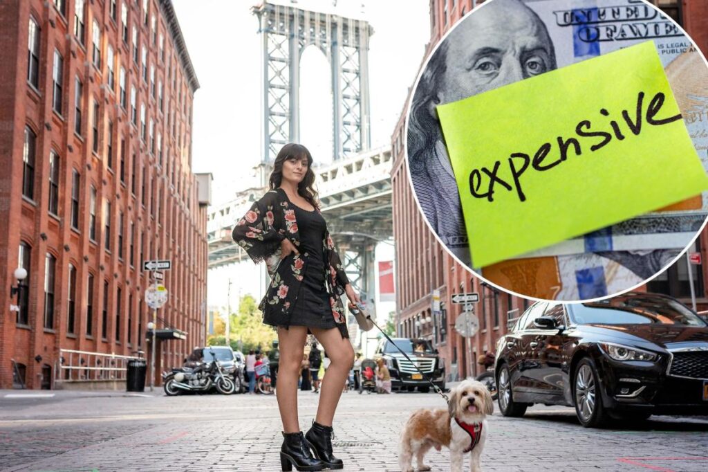 The $50,000 puppy: Why the pet debt crisis is reaching a breaking point in 2026
