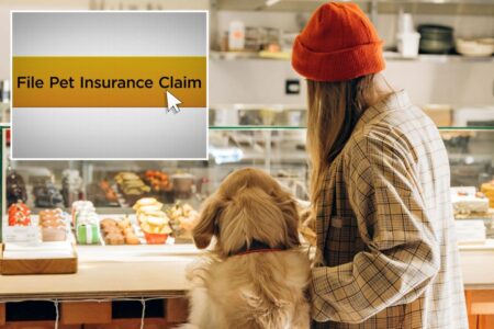 The true cost of being a pet parent in 2026: What you need to know