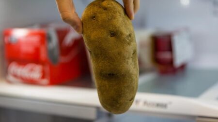 Keep These 11 Foods Out of the Freezer at All Cost