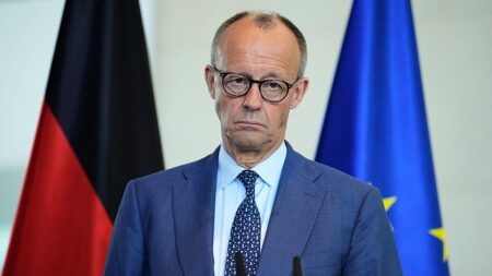 Merz's plan of 'associate membership' for Ukraine gets mixed reviews