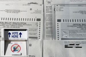 California lawmaker calls out woman’s double ballots as Gavin Newsom scrambles to secure polls