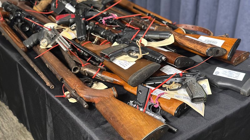 Allan government rejects police-backed proposal to cap firearm ownership