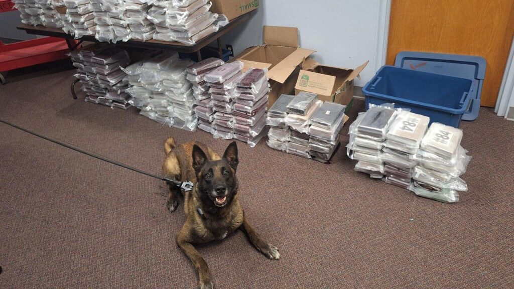 Nebraska K9 sniffs out 525 pounds of cocaine during routine traffic stop, leading to California man's arrest