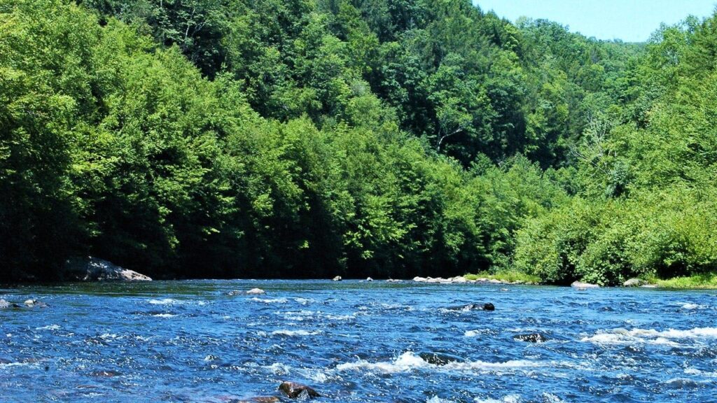 12-Year-Old Boy Dies After Raft Capsizes During School Trip in Pennsylvania